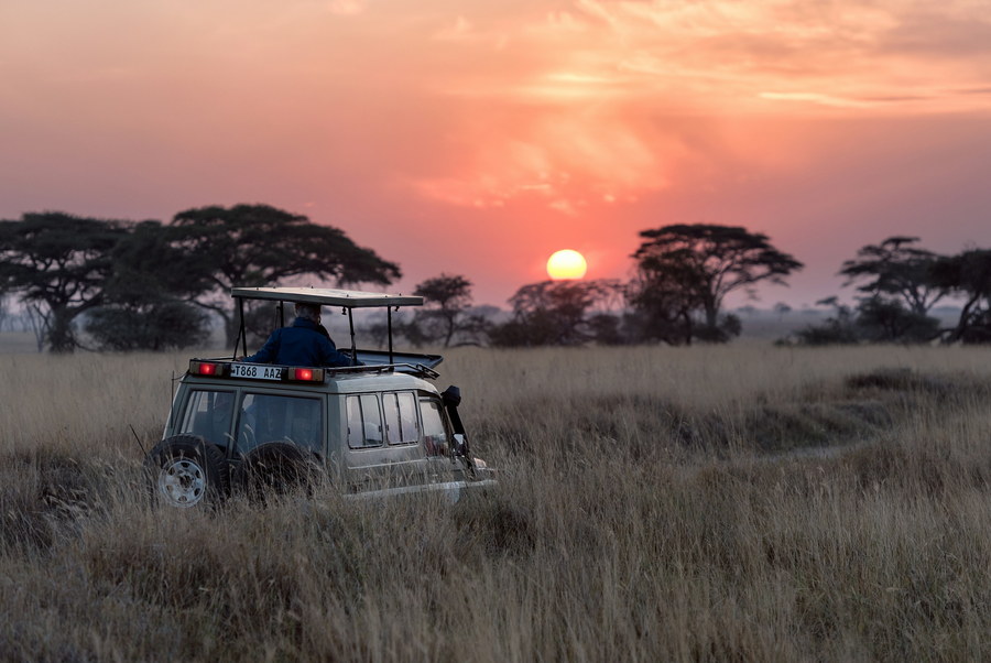 The African Wilderness