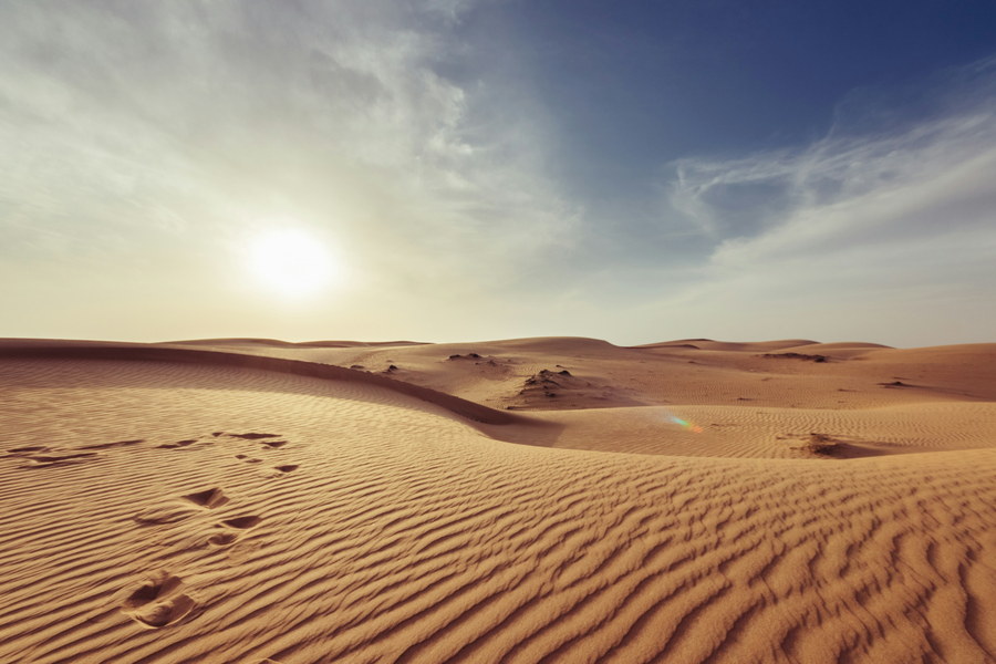 Desert & Dynasty